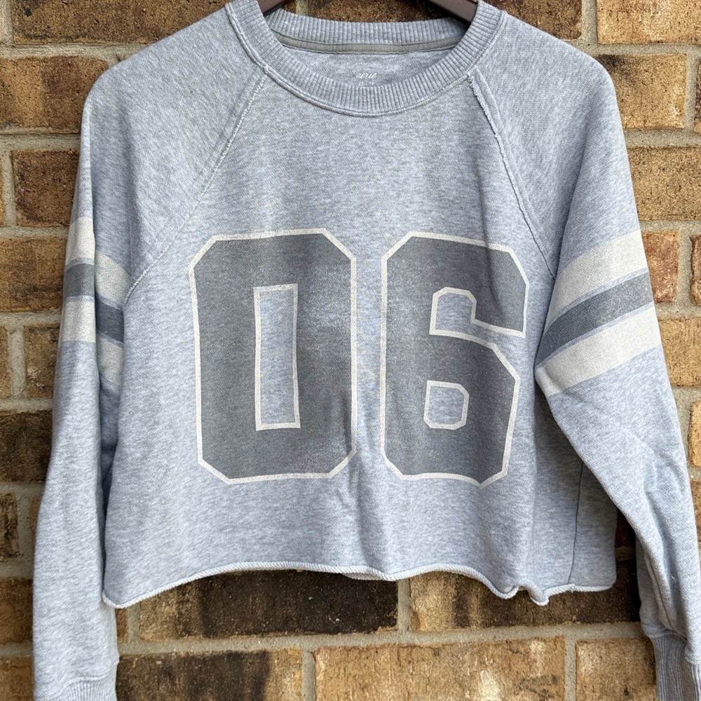 Aerie Gray Cropped Sweatshirt